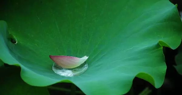 熬也是一種希望,一切都會好起來的!