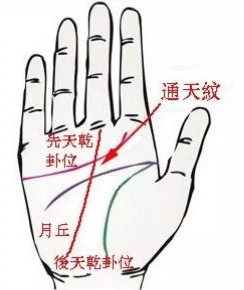手心的一條掌紋很特殊!「兩手都有」一生大富大貴, 「單手有」一生貴人助!