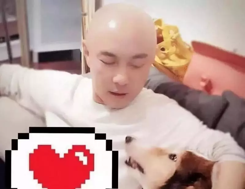 張衛健一家住的豪宅,完全不像是明星住的,連飯菜都是素菜
