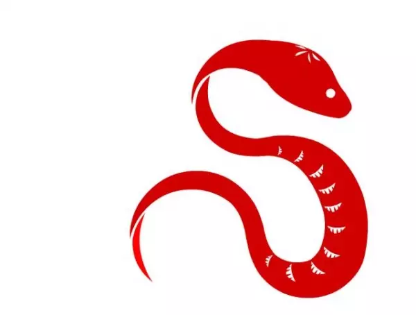 疼妻子!12生肖男中,「新好男人」的典範?第一名的老婆肯定是「賢內助」!