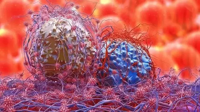 益生菌與健康:癌症預防