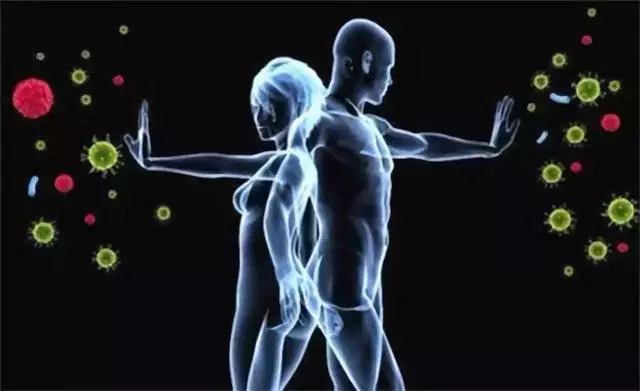 維持健康的不只有免疫系統,消化系統更重要