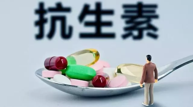 維持健康的不只有免疫系統,消化系統更重要
