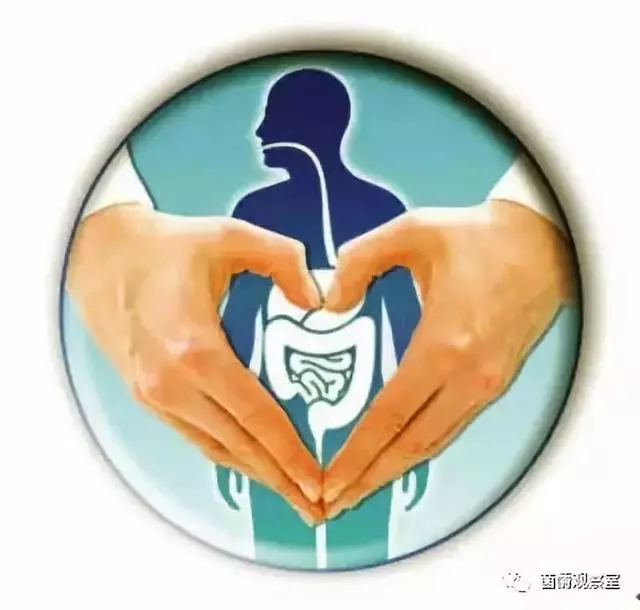 維持健康的不只有免疫系統,消化系統更重要
