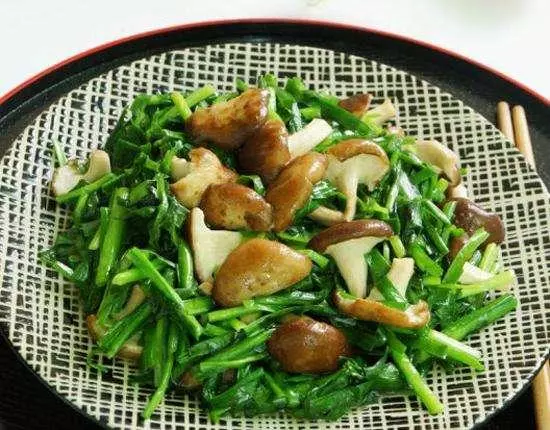 秋冬吃蘑菇養顏,補充營養,分享10種蘑菇做法,溫暖整個家