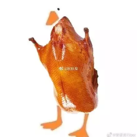 自由發揮「幫鴨子畫身體圖」釣出大神 各種超展開讓網友笑:烤鴨太鬧啦