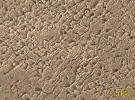 20個「顯微鏡下長超不一樣」的生活物品 看了草莓就回不去了⋯
